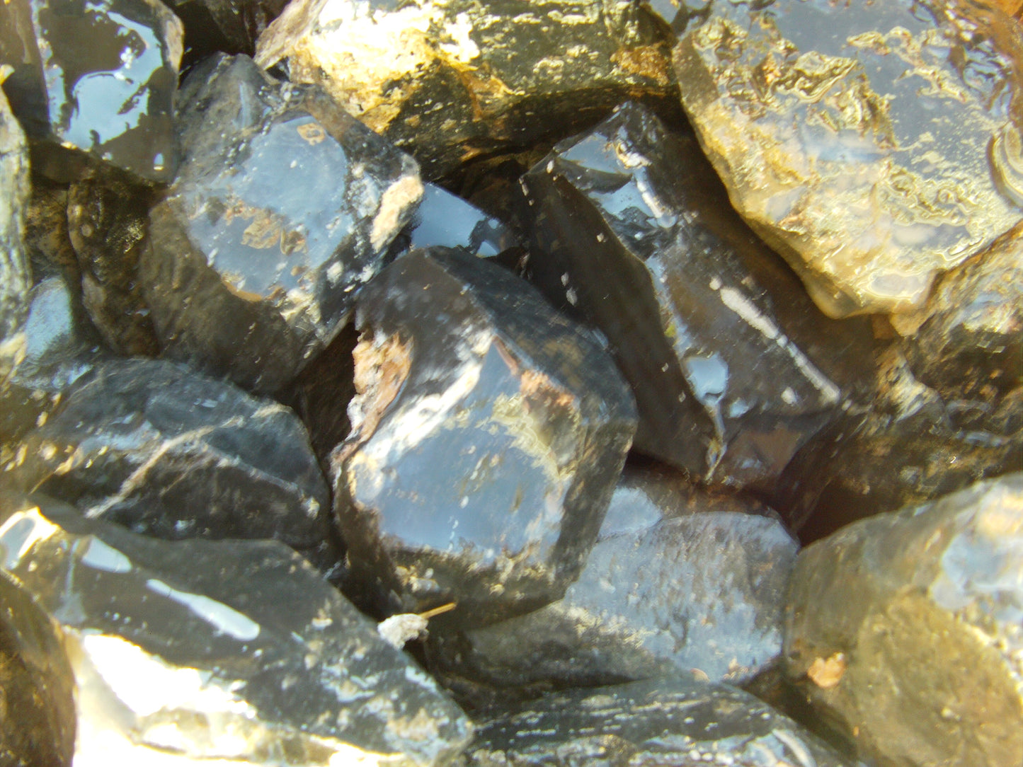Obsidian, Shiny Black