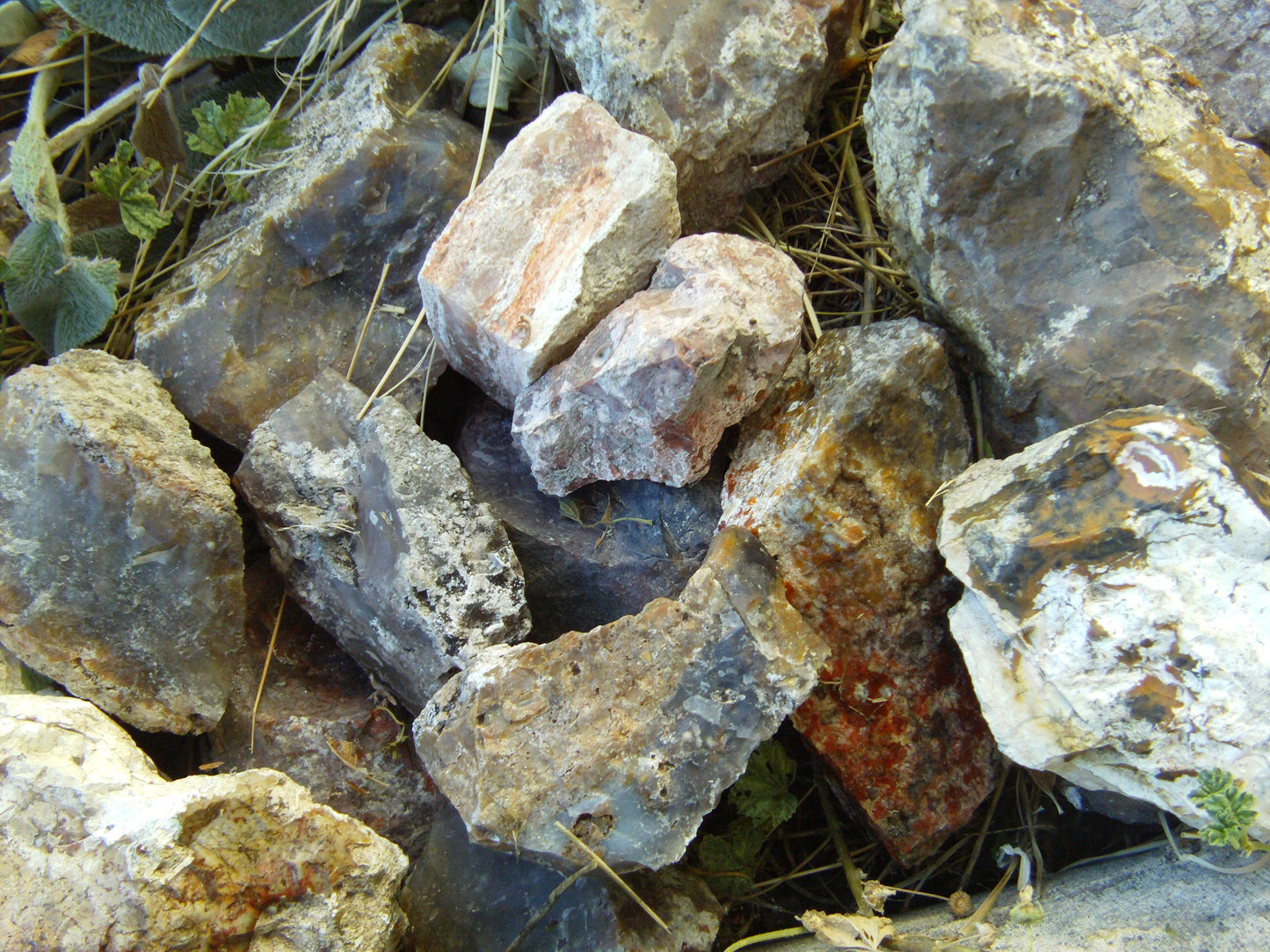 Multicolored Agate