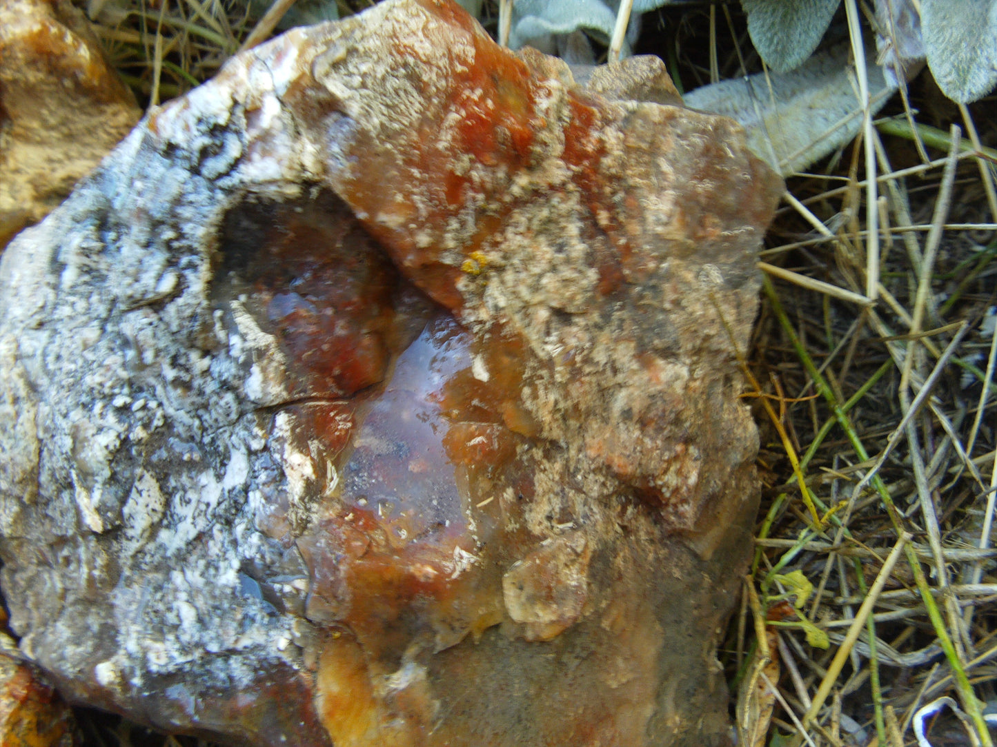 Multicolored Agate