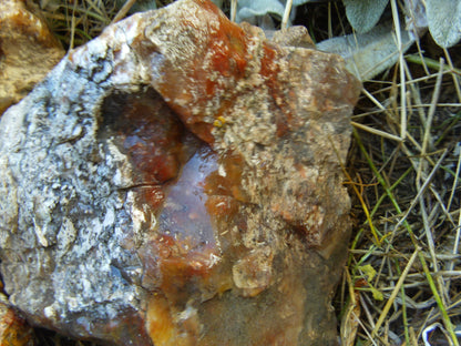 Multicolored Agate
