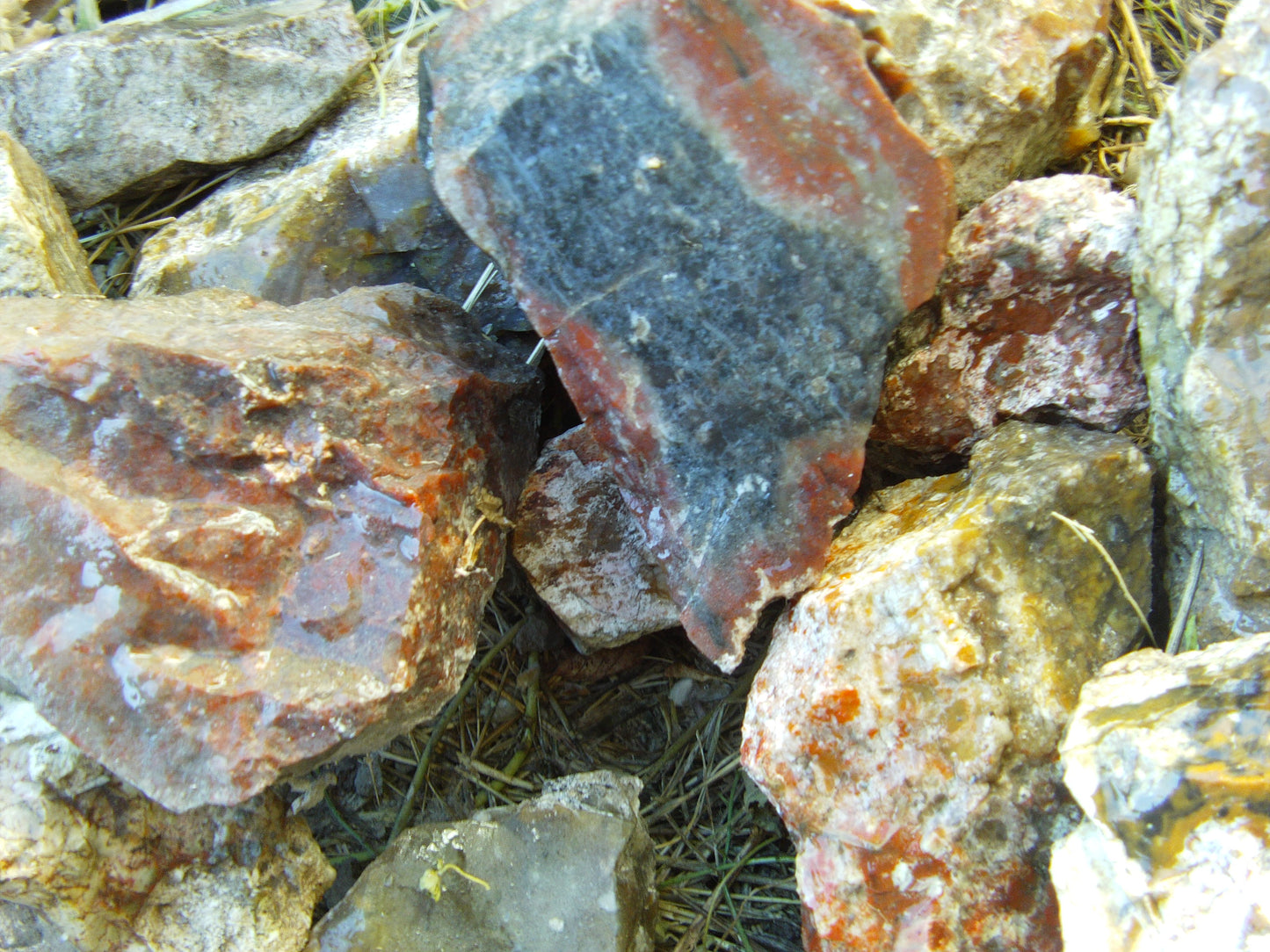 Multicolored Agate