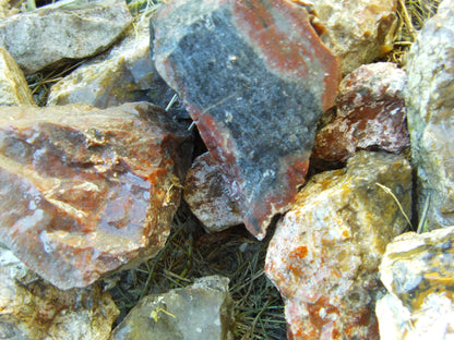 Multicolored Agate