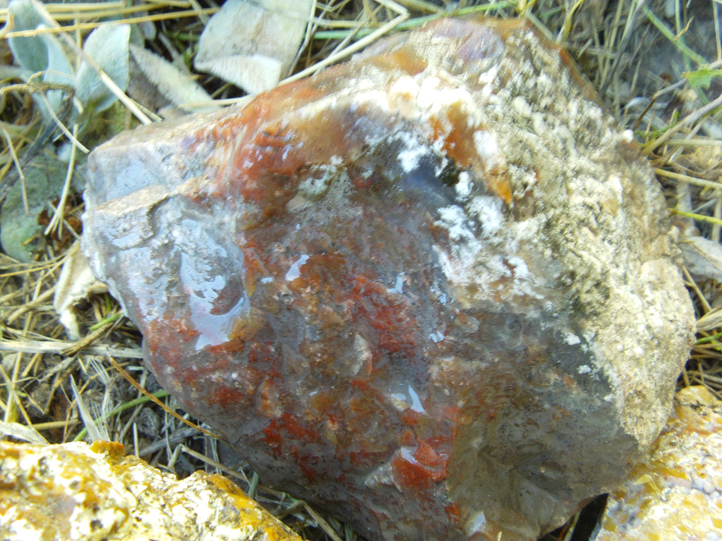 Multicolored Agate