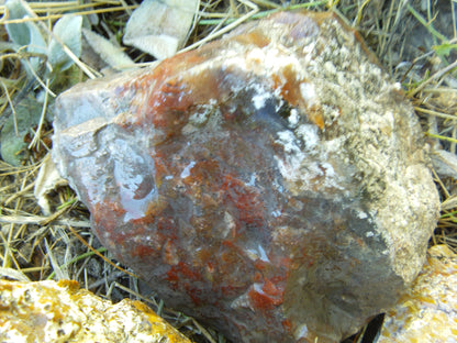 Multicolored Agate