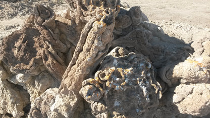 Geyserite
