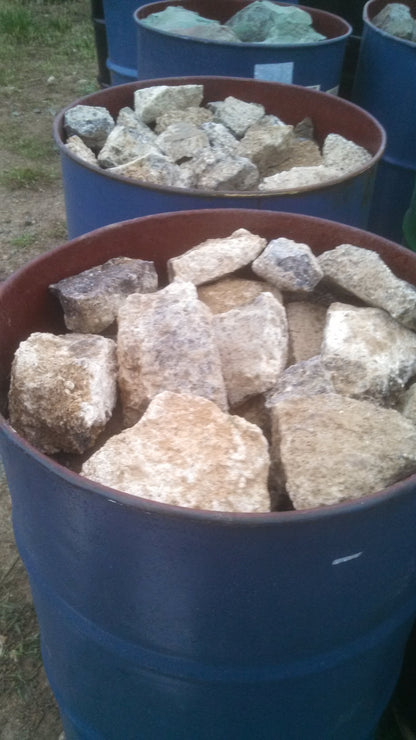 Turitella Agate