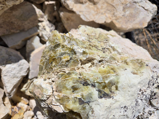 Lemon Opal