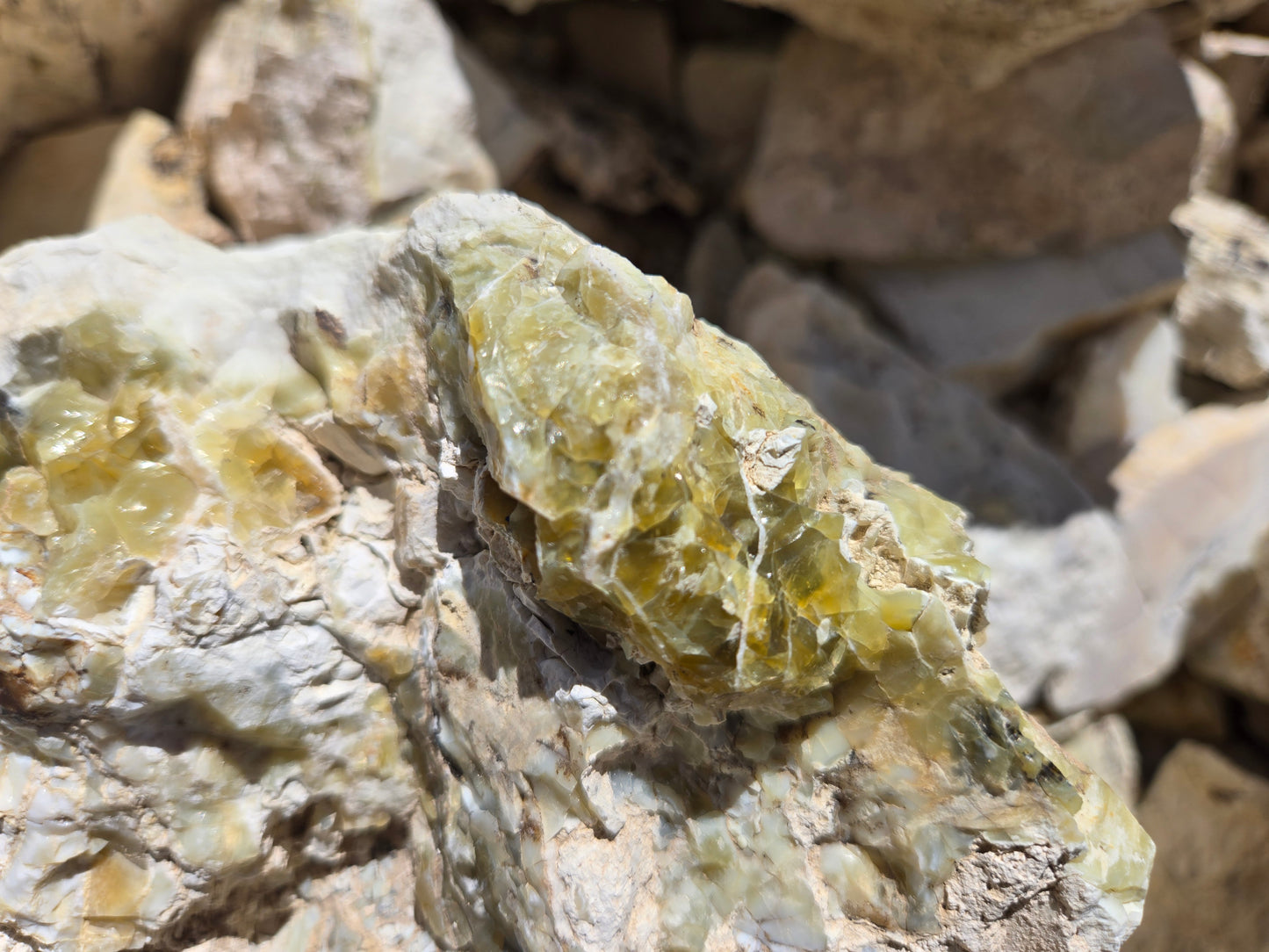 Lemon Opal