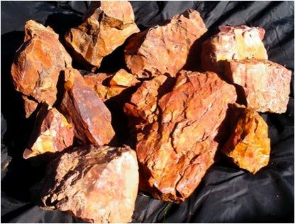 Jasper, Red: Paparika Red