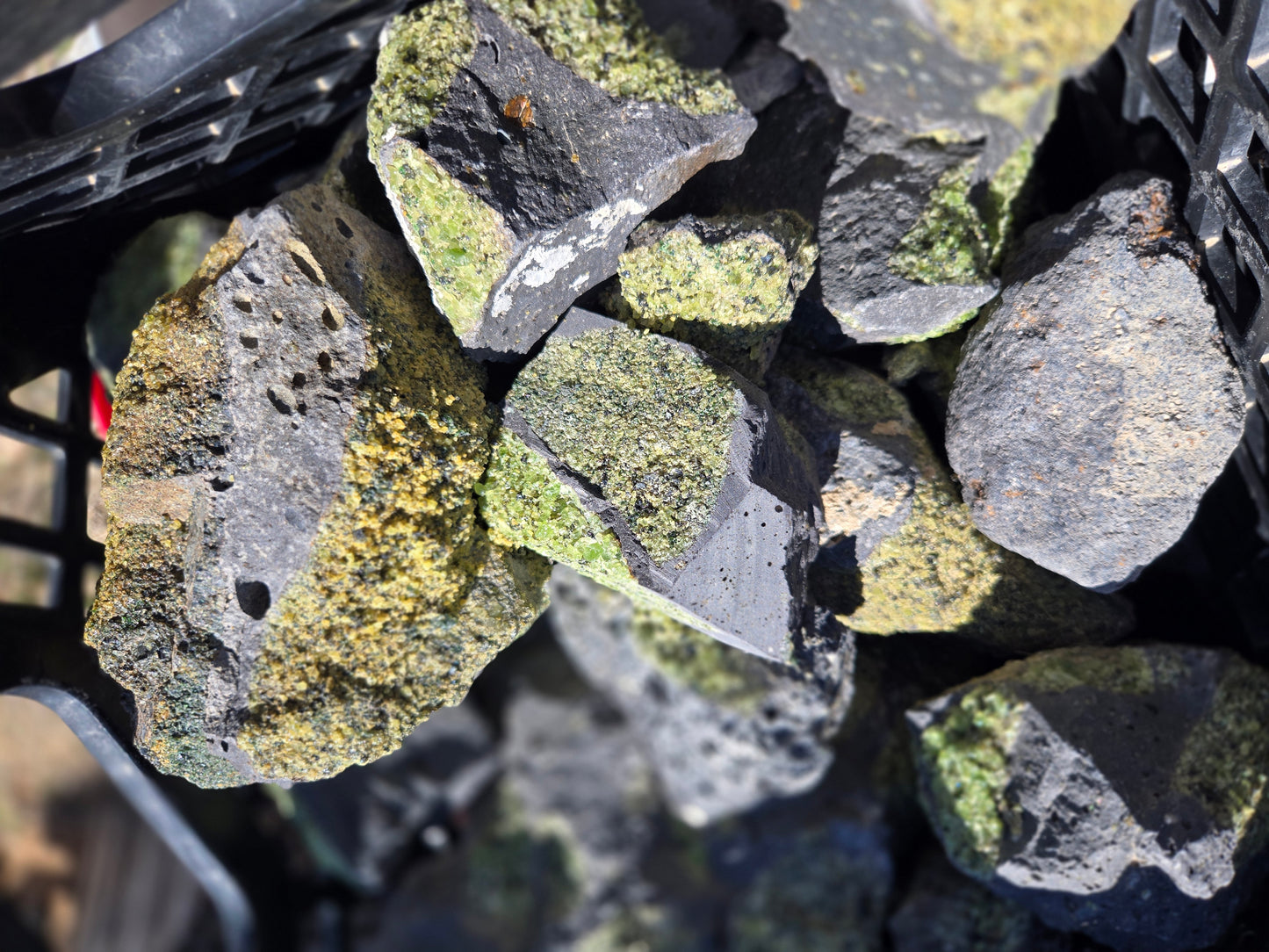 Peridot in Basalt Matrix