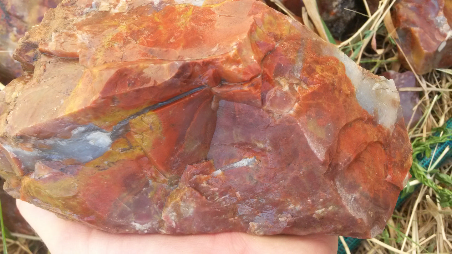 Jasper, Red: Paparika Red