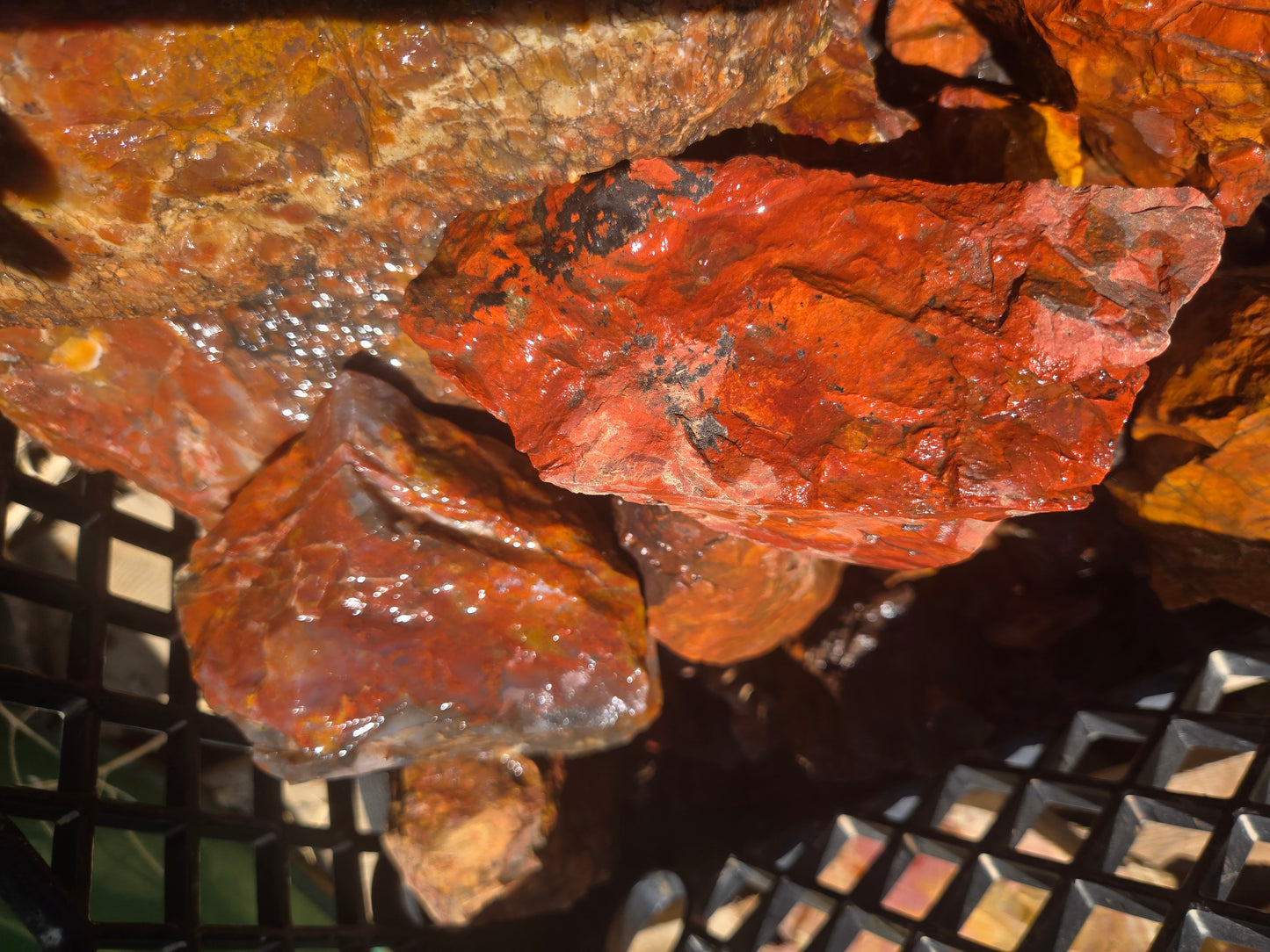 Jasper, Red: Paparika Red