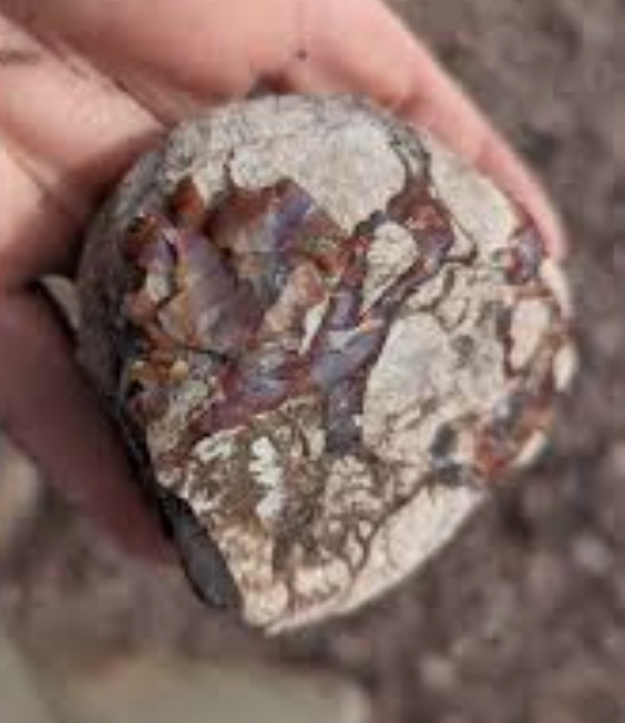 Agate Nodules, Moab Nodules, Aka Septarian Agate