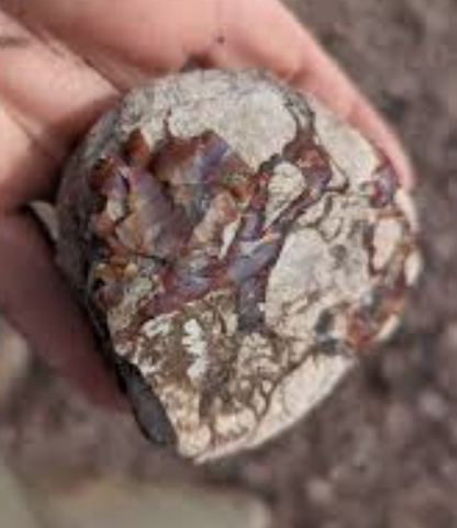 Agate Nodules, Moab Nodules, Aka Septarian Agate