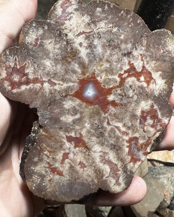 Agate Nodules, Moab Nodules, Aka Septarian Agate