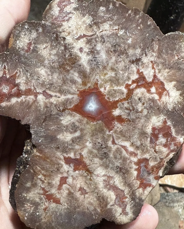 Agate Nodules, Moab Nodules, Aka Septarian Agate