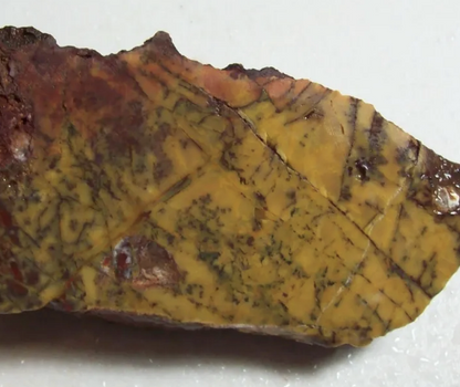 Jasper, Yellow: Canary Day