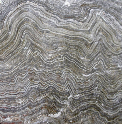 Wonderstone: Purple Banded