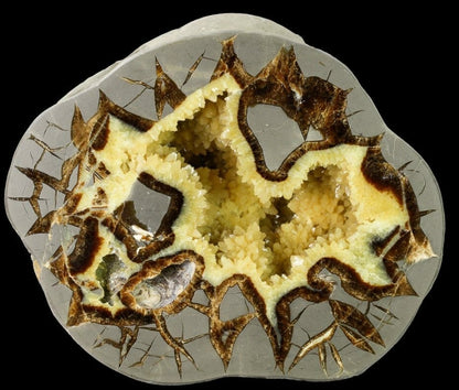 Septarian Nodules: Apatite, Aragonite, Calcite