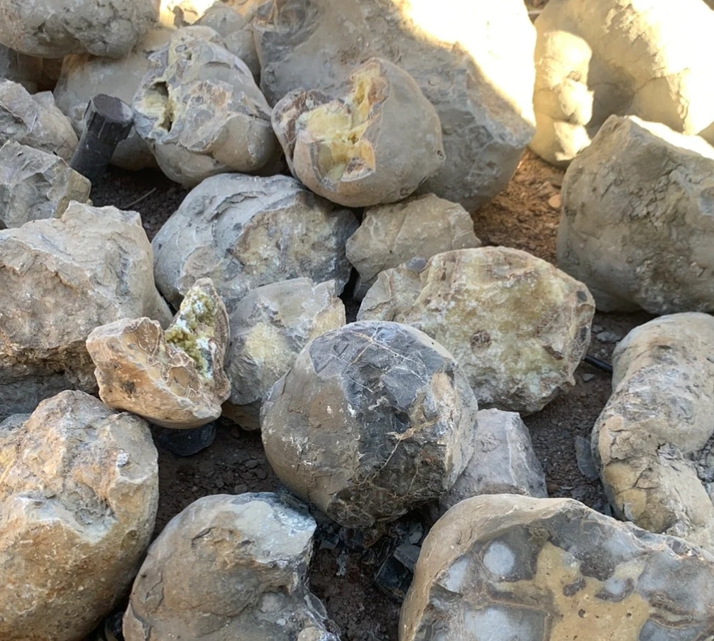 Septarian Nodules: Apatite, Aragonite, Calcite