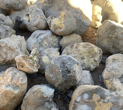 Septarian Nodules: Apatite, Aragonite, Calcite