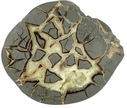 Septarian Nodules: Apatite, Aragonite, Calcite