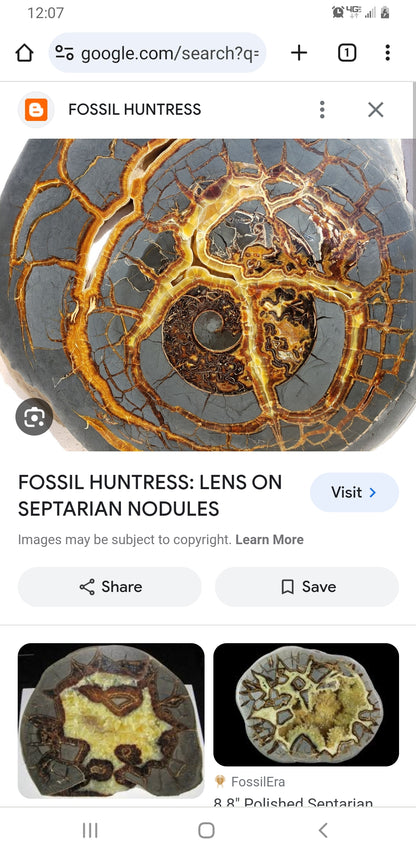 Septarian Nodules: Apatite, Aragonite, Calcite
