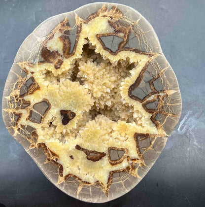 Septarian Nodules: Apatite, Aragonite, Calcite