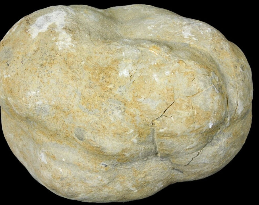 Septarian Nodules: Apatite, Aragonite, Calcite