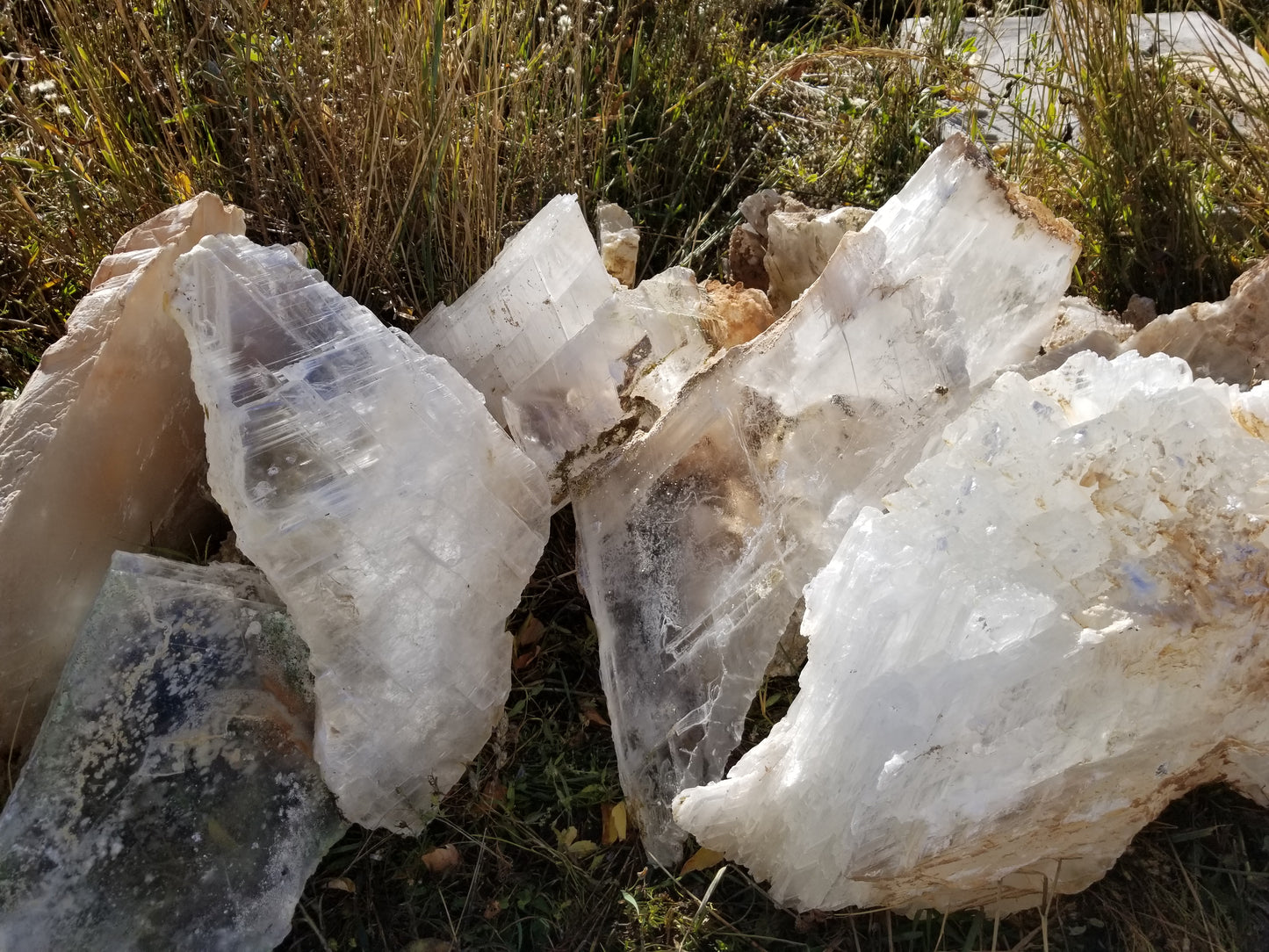Selenite Crystal, Utah Ice