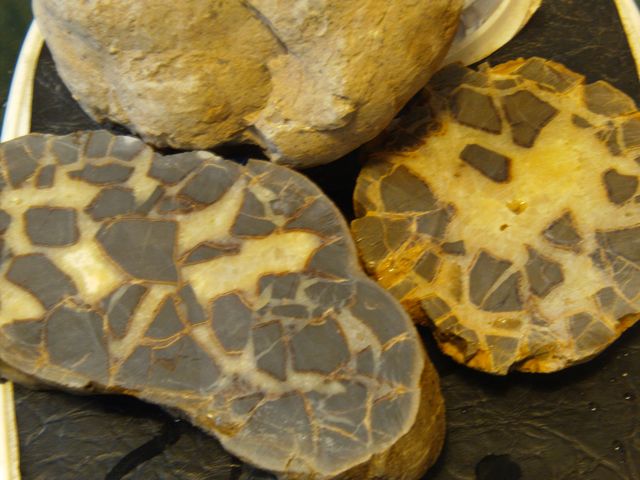 Septarian Nodules: Apatite, Aragonite, Calcite