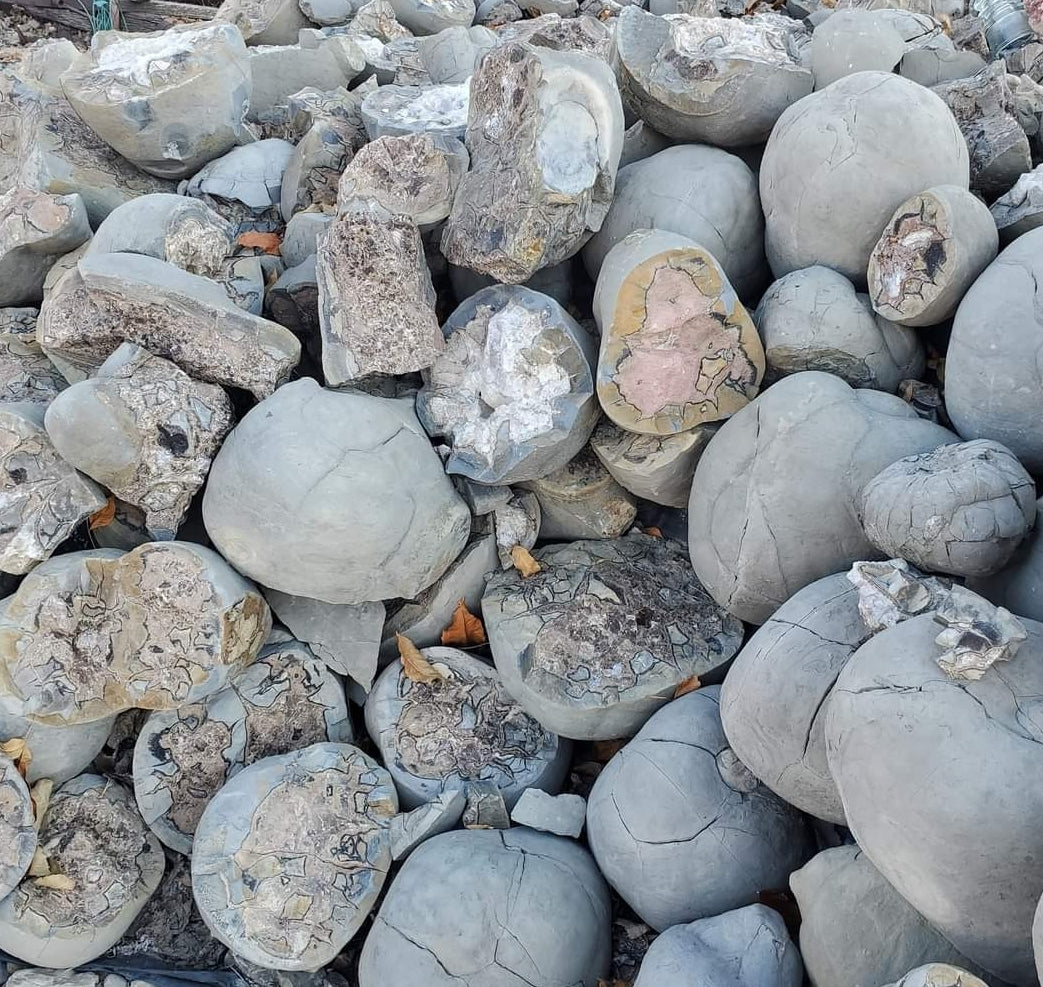 Septarian Nodules: Apatite, Aragonite, Calcite
