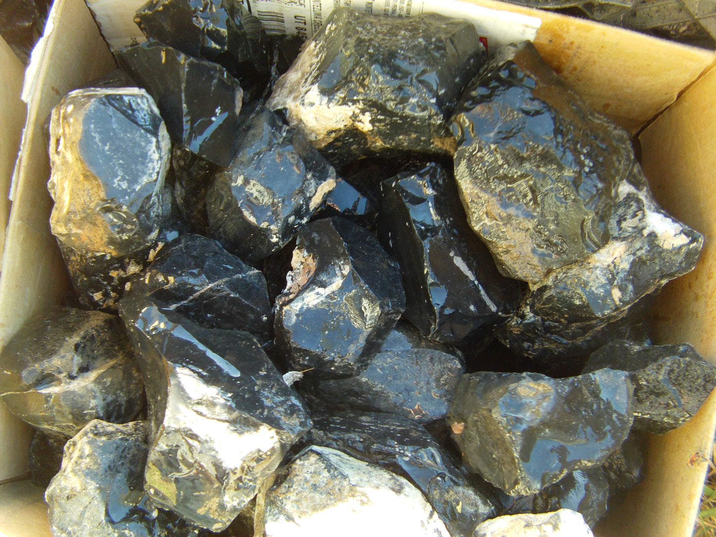 Obsidian, Shiny Black