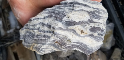 Wonderstone: Purple Banded