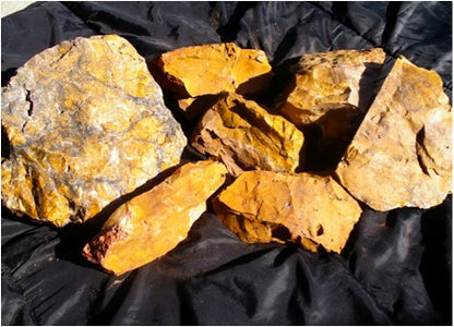 Jasper, Yellow: Canary Day