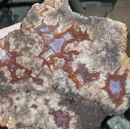 Agate Nodules, Moab Nodules, Aka Septarian Agate