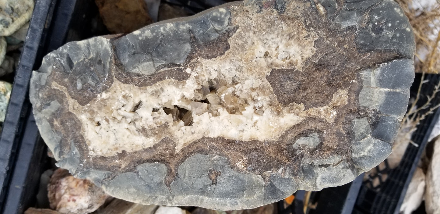 Septarian Nodules: Apatite, Aragonite, Calcite