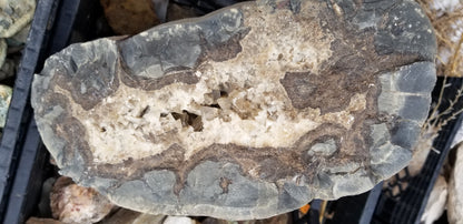 Septarian Nodules: Apatite, Aragonite, Calcite
